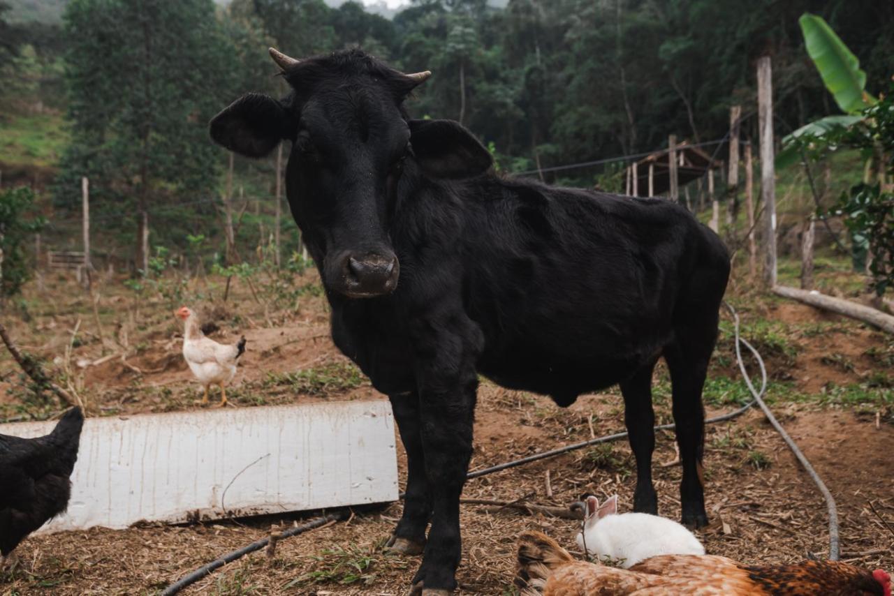 Hotel Fazenda Monteiro Conservatória Dış mekan fotoğraf