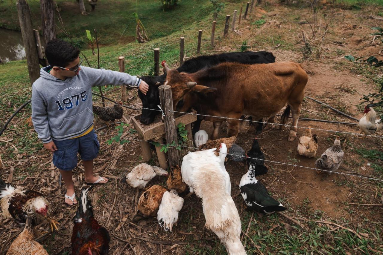 Hotel Fazenda Monteiro Conservatória Dış mekan fotoğraf