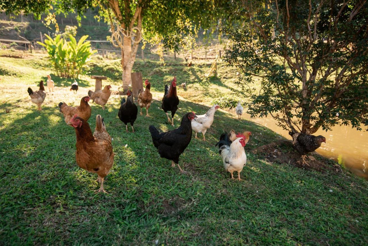 Hotel Fazenda Monteiro Conservatória Dış mekan fotoğraf