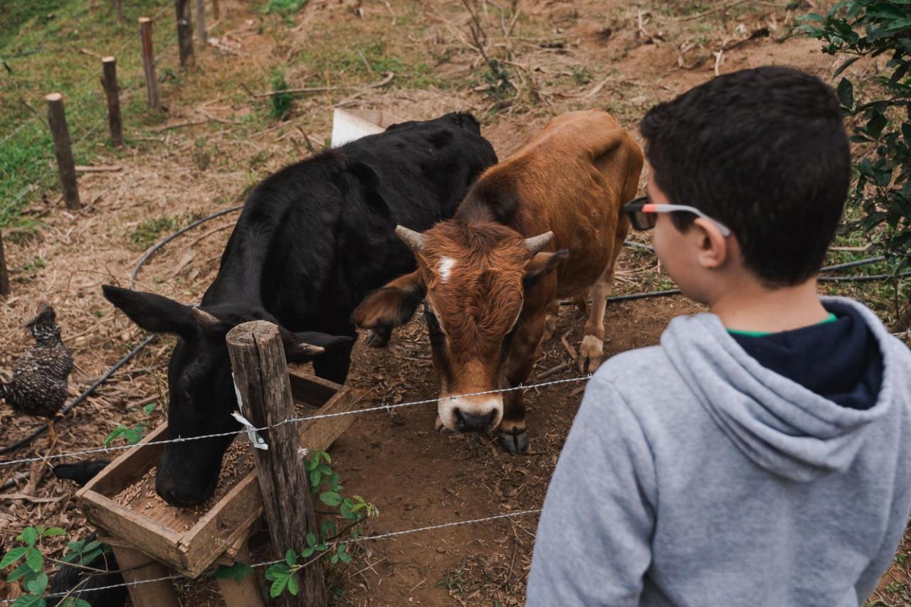 Hotel Fazenda Monteiro Conservatória Dış mekan fotoğraf