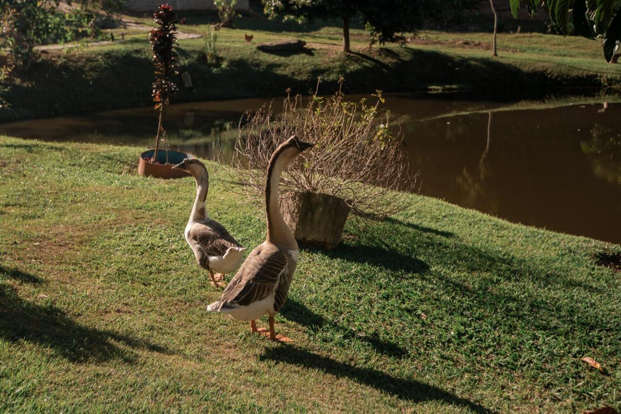 Hotel Fazenda Monteiro Conservatória Dış mekan fotoğraf