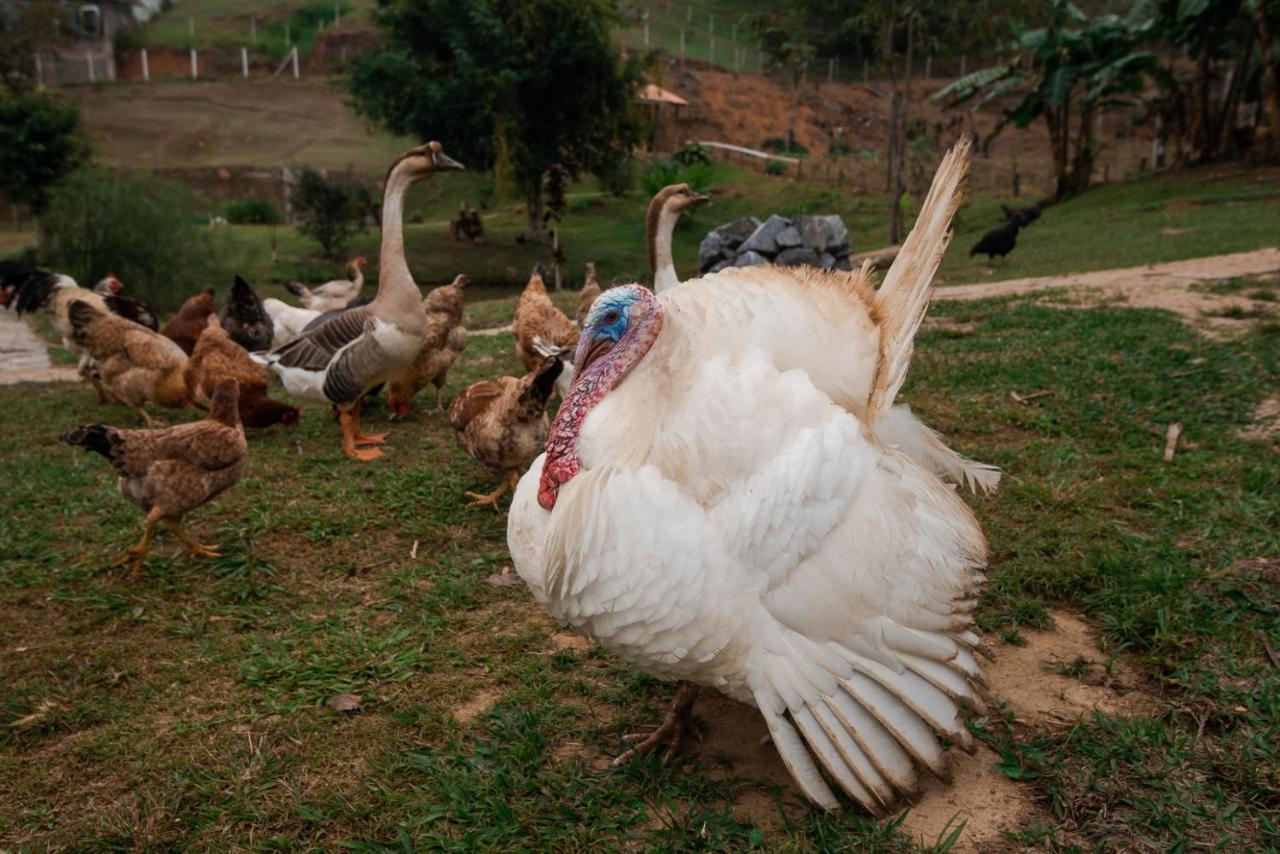 Hotel Fazenda Monteiro Conservatória Dış mekan fotoğraf